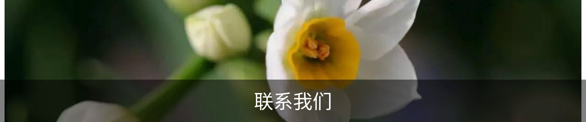 联系我们
